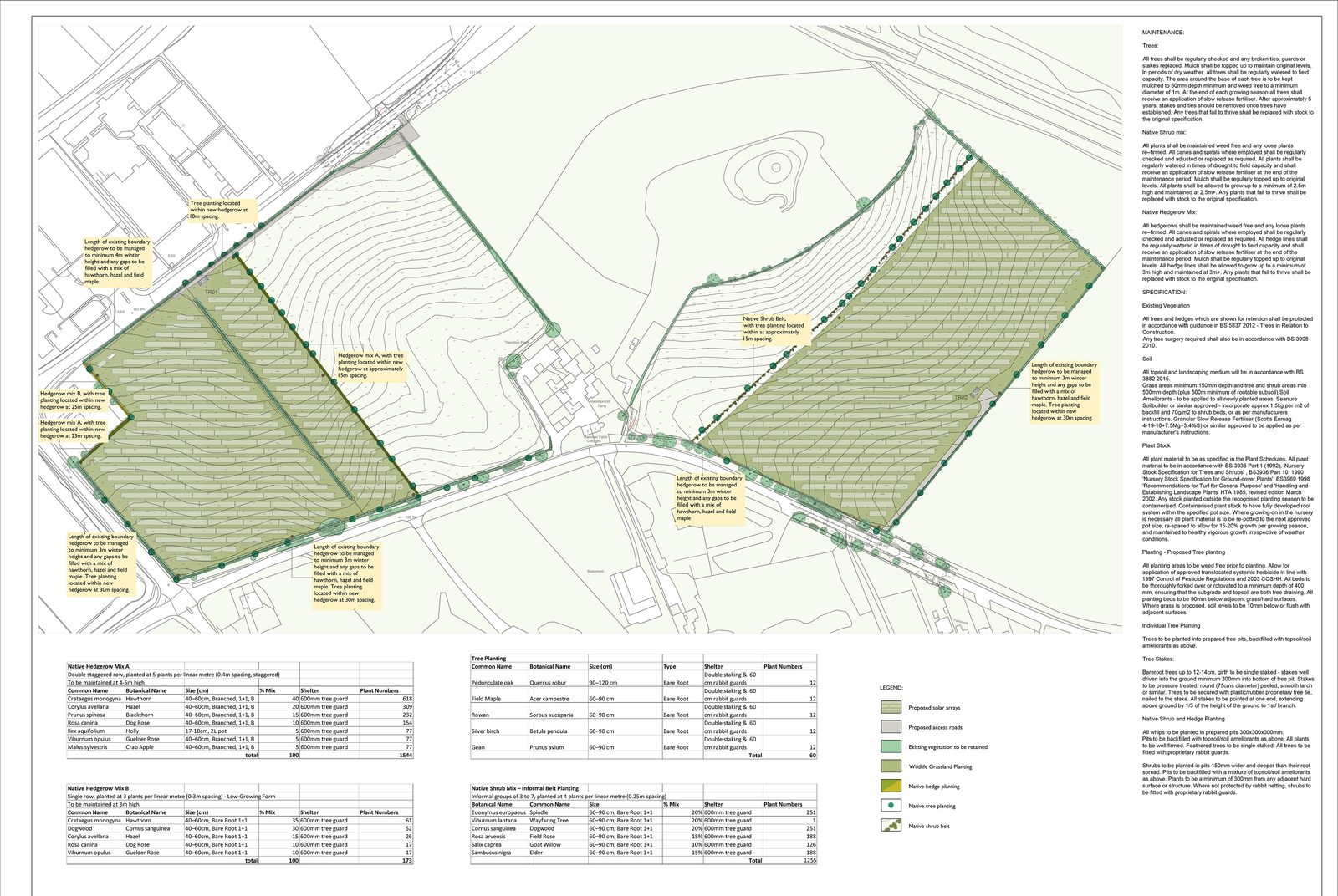 How LVIAs can Support Biodiversity Net Gain