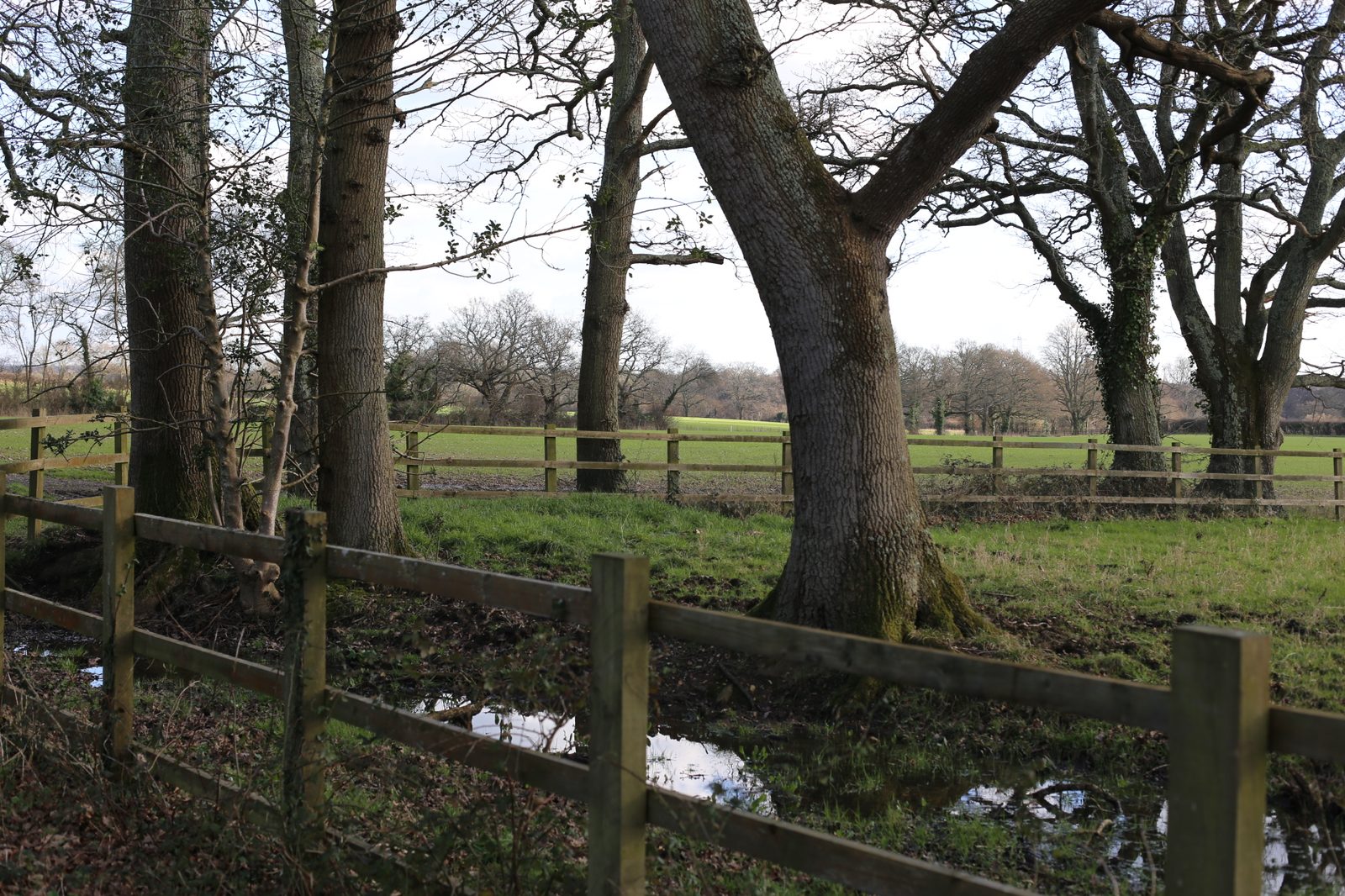 Project case study image