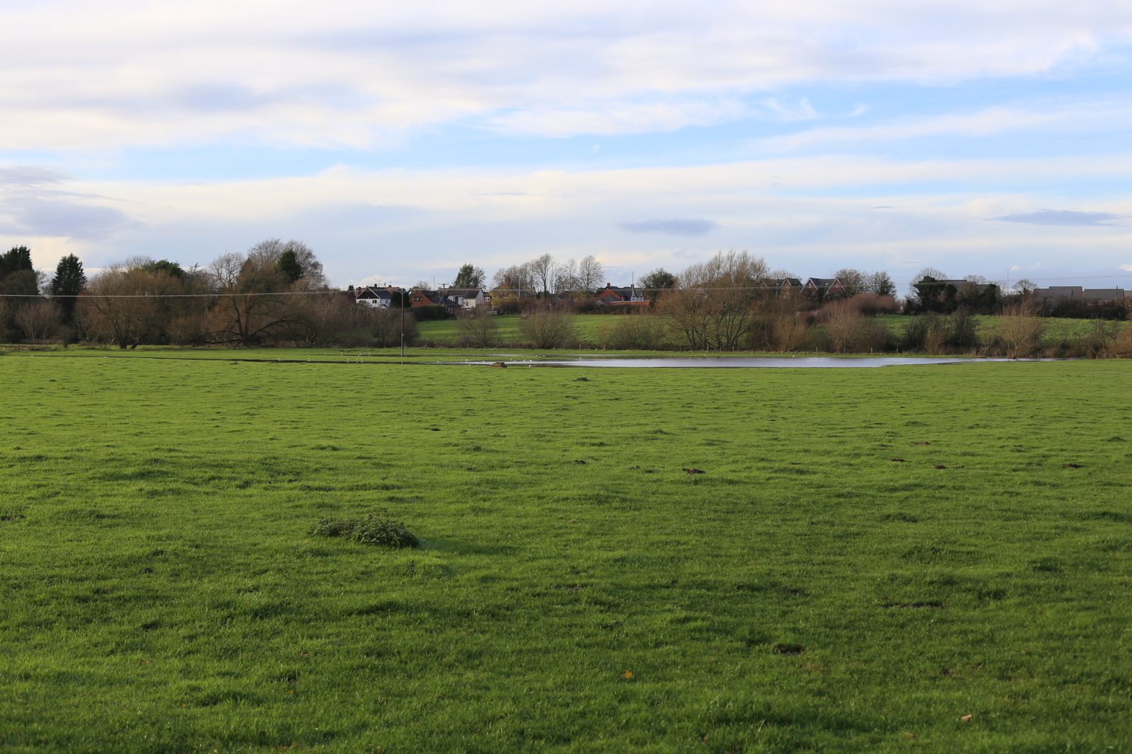 Project case study image