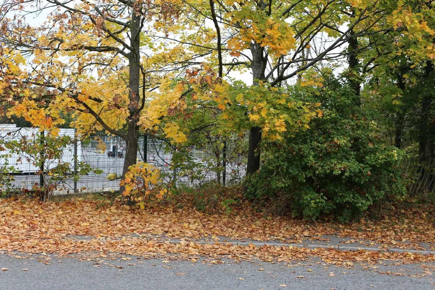 Modular housing, Kent Downs National Landscape — case study image