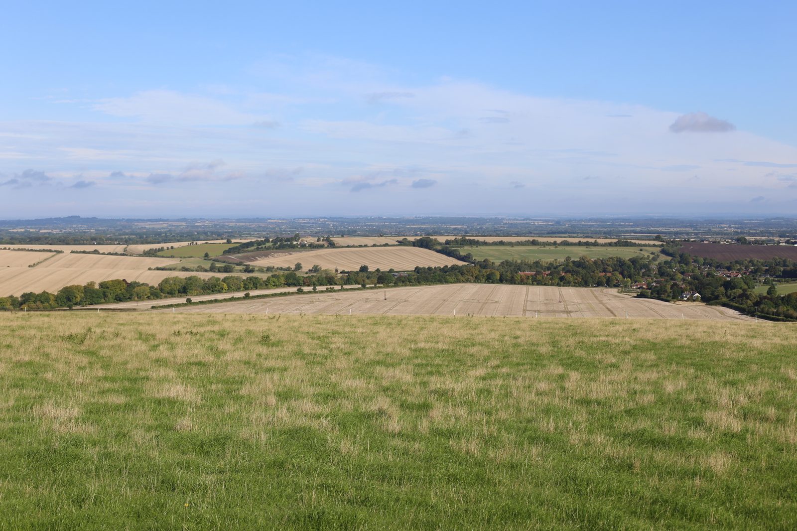 Project case study image