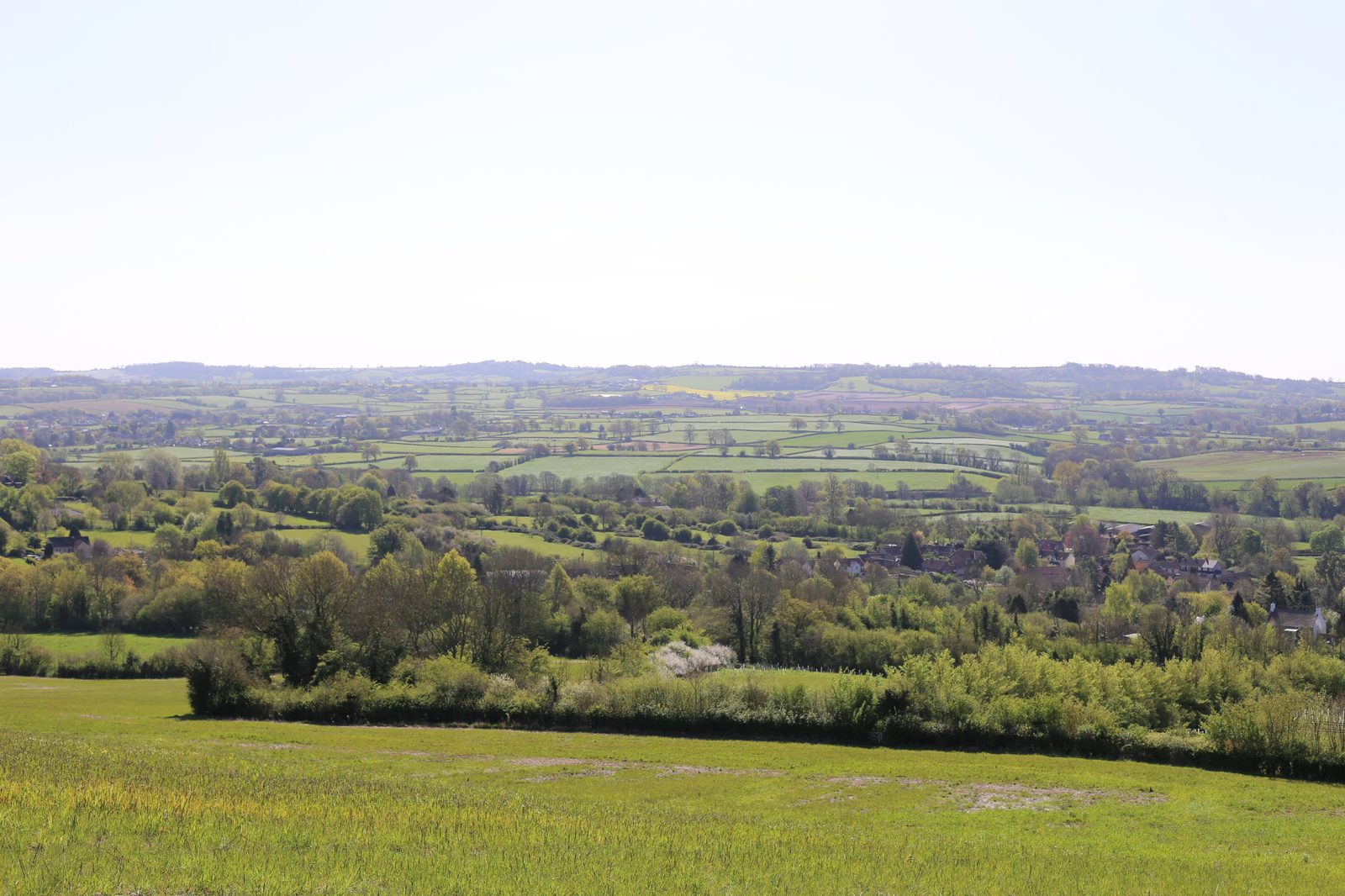 Project case study image