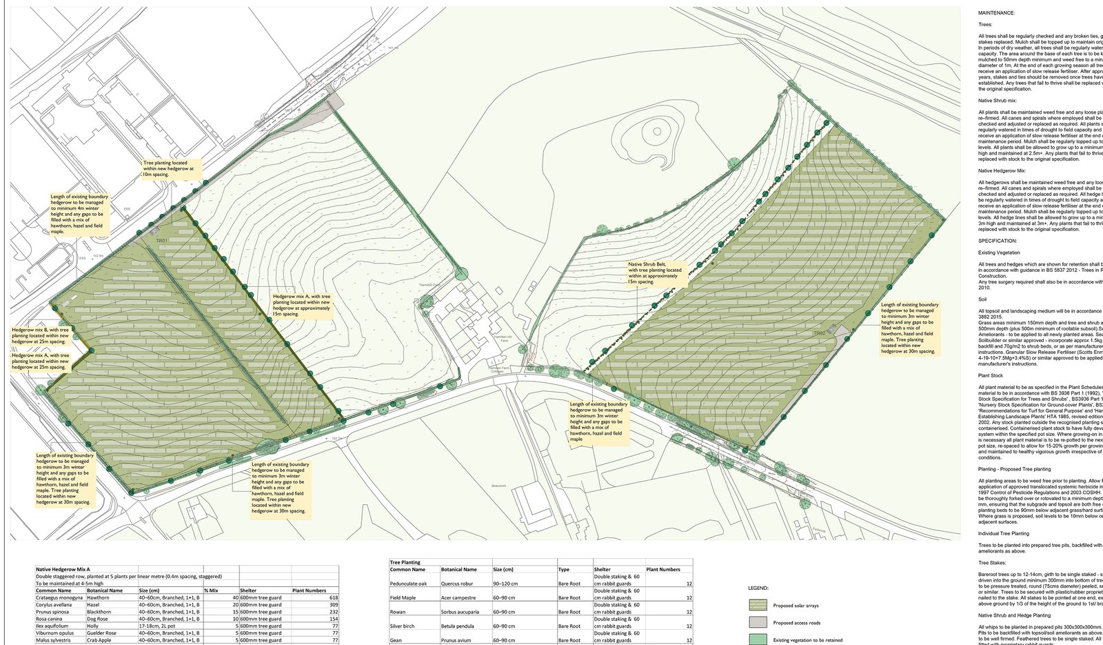 Landscape masterplan for a solar farm — case study image
