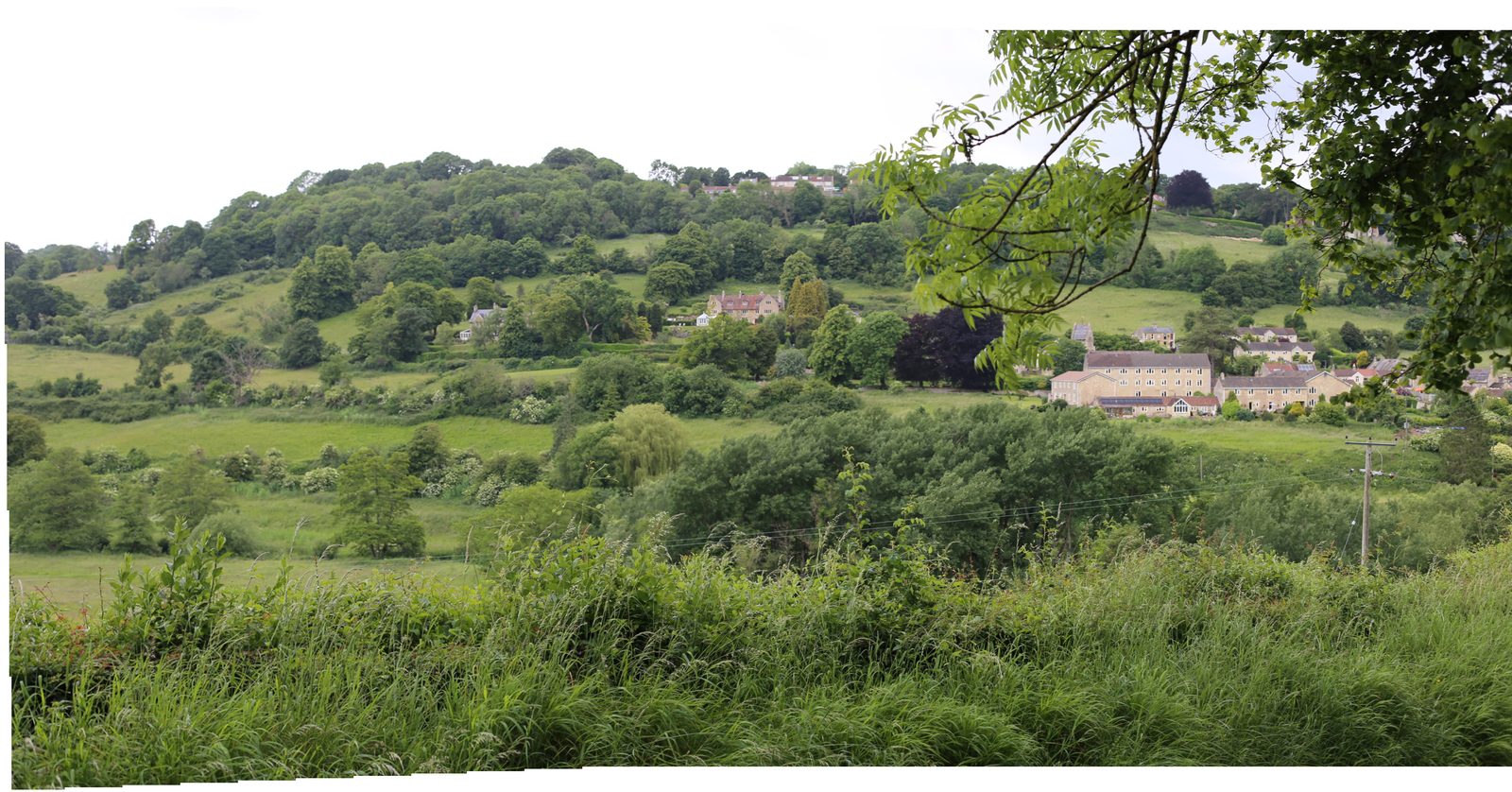 Project case study image