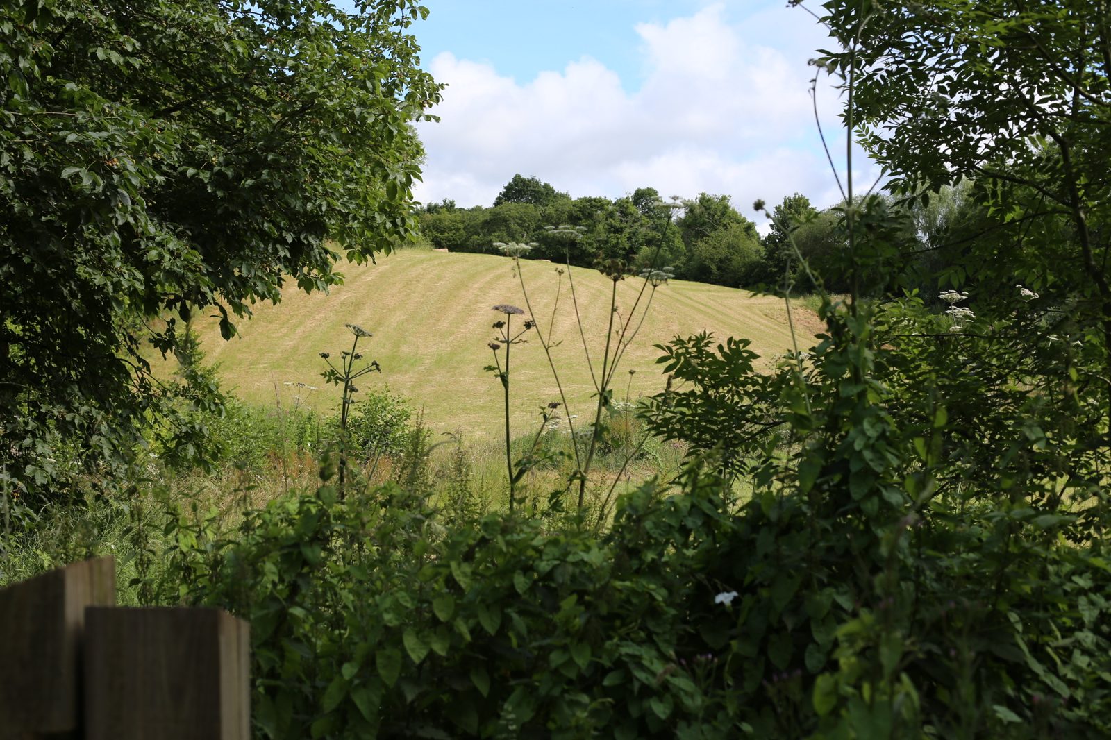 Project case study image