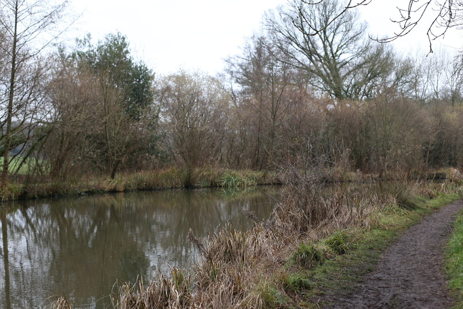 Project case study image