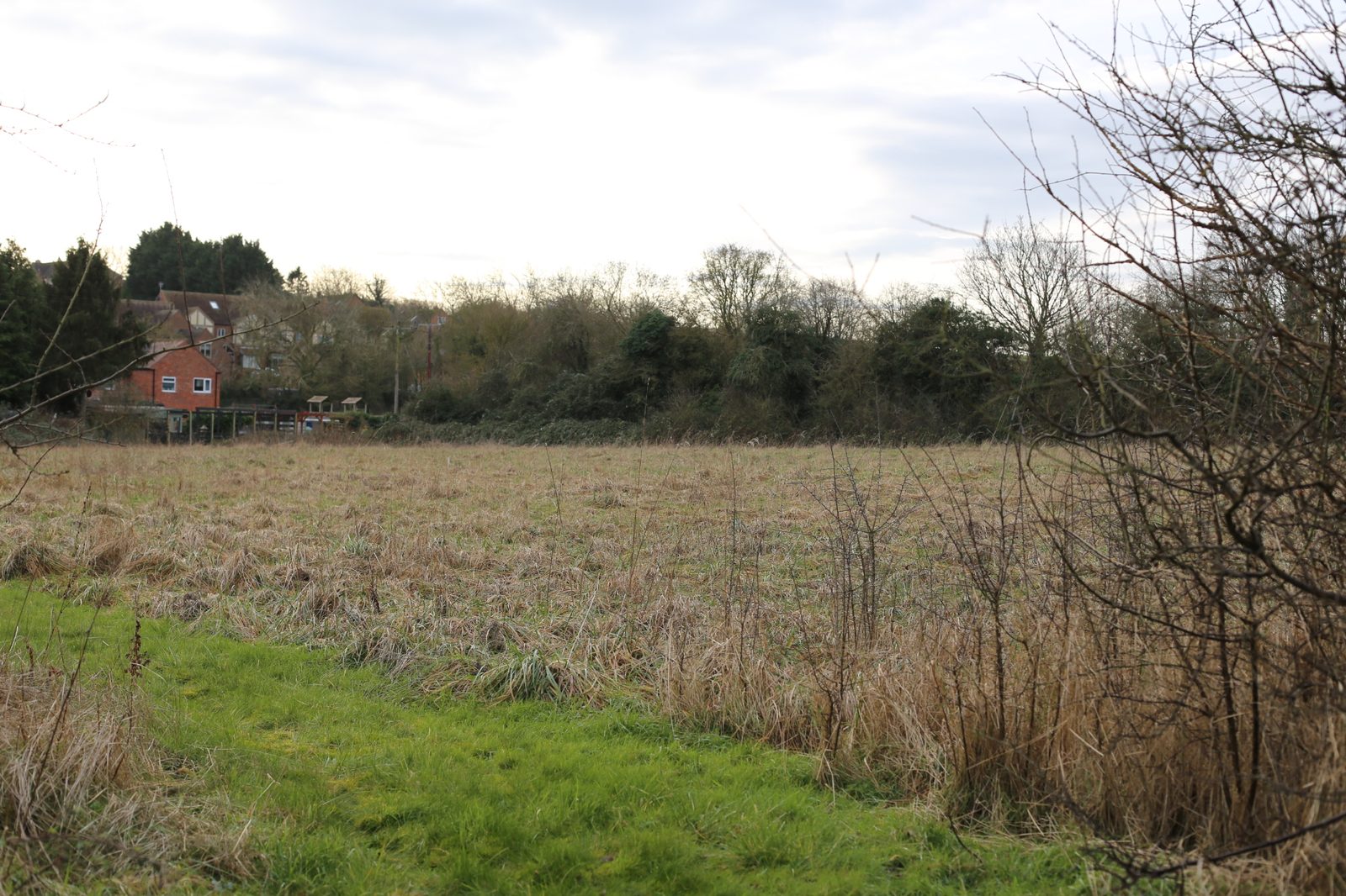 Project case study image