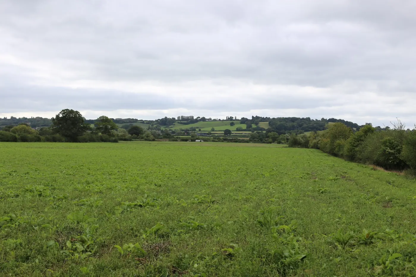 Six dwellings on the Yeovil escarpment, Somerset — case study image