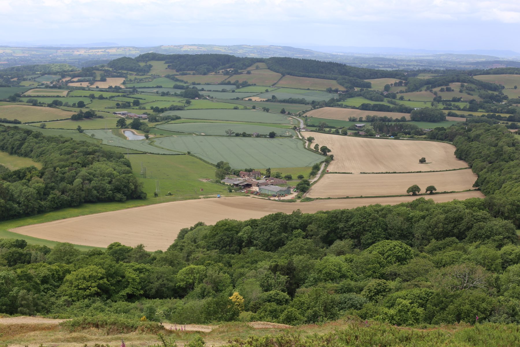 LVIA & TVIA Hampshire | The Landscape Workshop