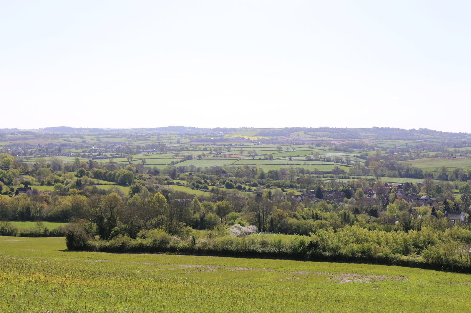Landscape assessment fieldwork — Chartered Landscape Architects on site