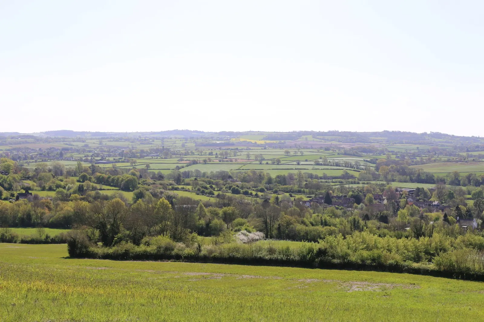 Landscape assessment fieldwork — Chartered Landscape Architects on site