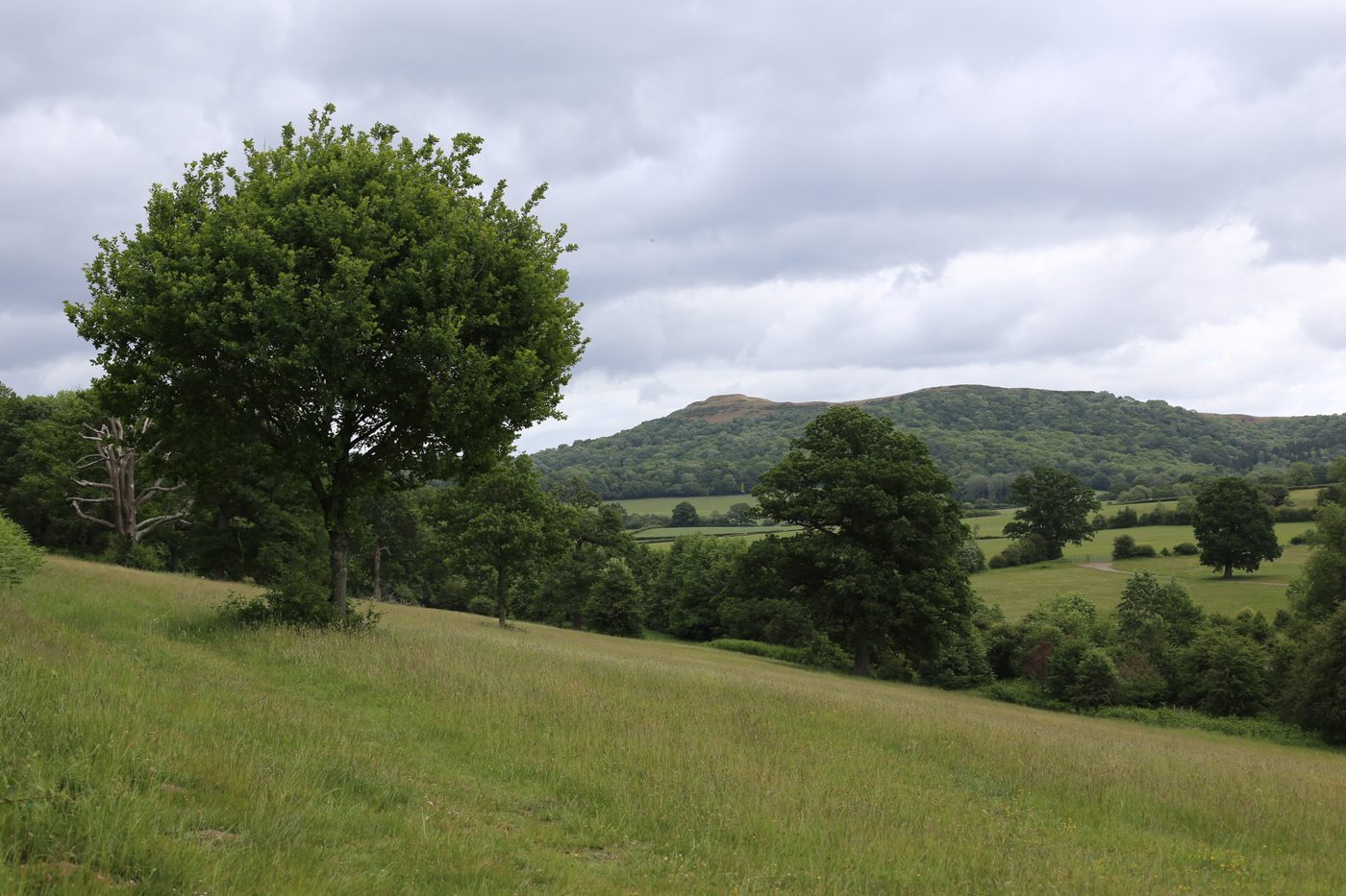 Comprehensive country-house refurbishment in the Malvern Hills National Landscape